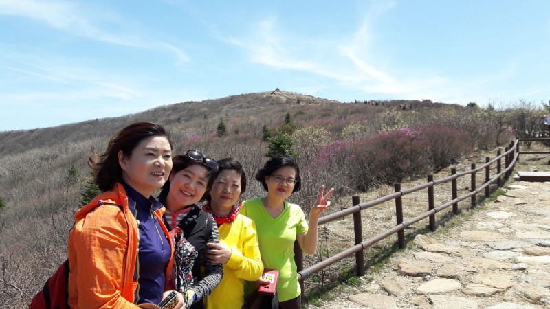 황금동교회 / 자유앨범