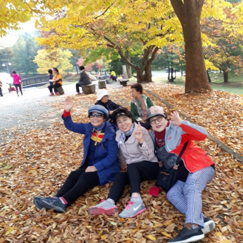 황금동교회 / 자유앨범