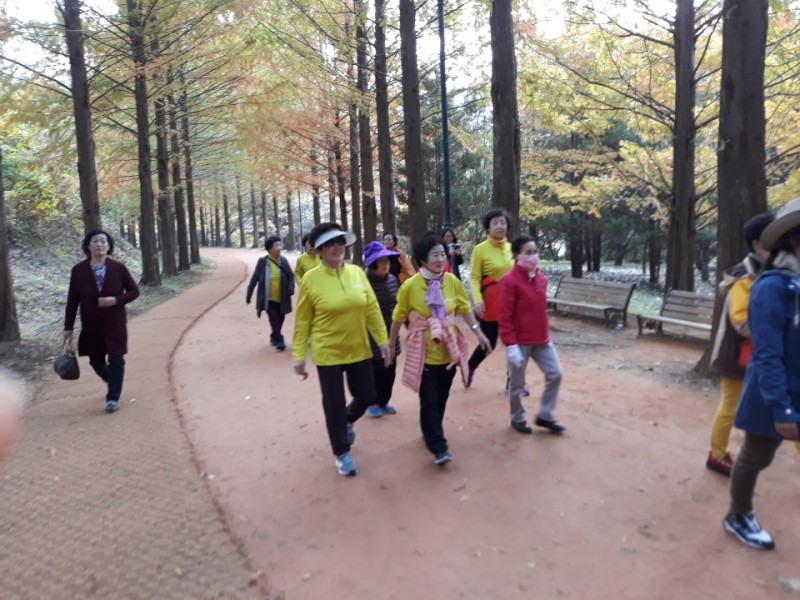 황금동교회 / 자유앨범
