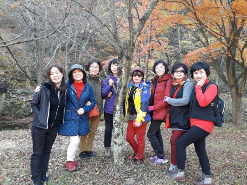 황금동교회 / 자유앨범