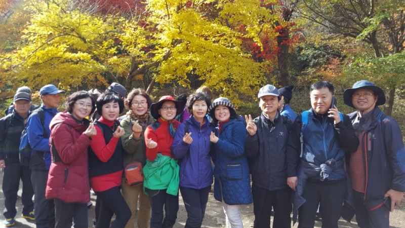 황금동교회 / 자유앨범
