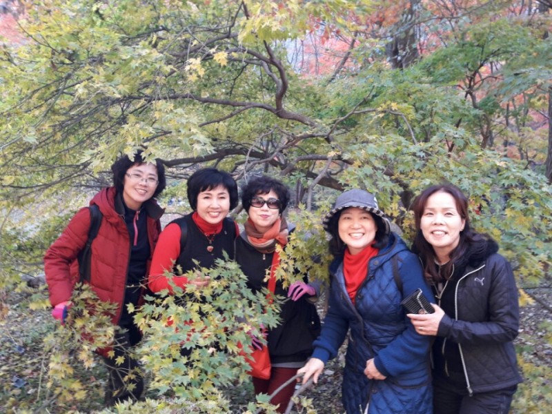 황금동교회 / 자유앨범