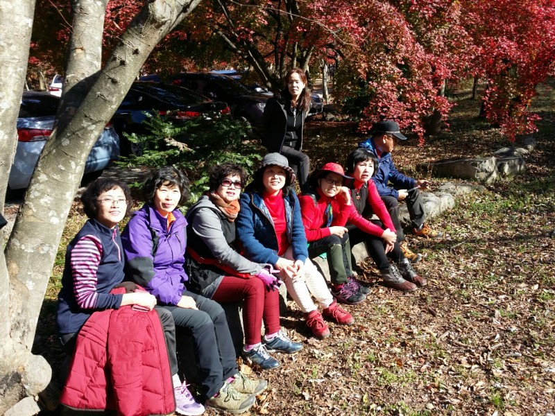 황금동교회 / 자유앨범