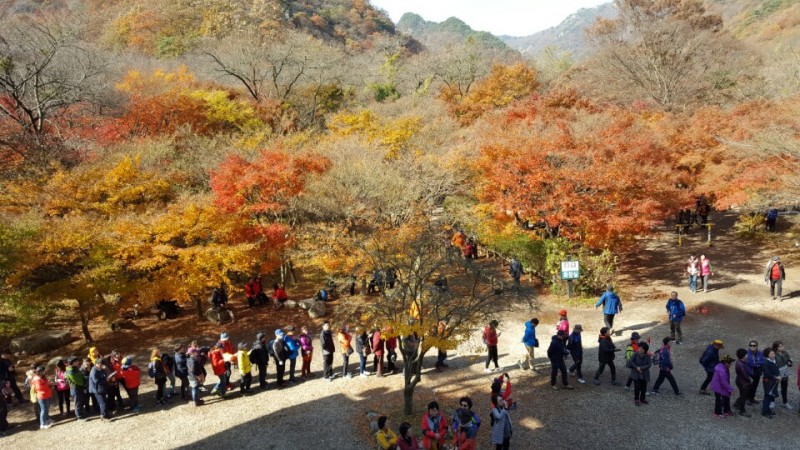 황금동교회 / 자유앨범