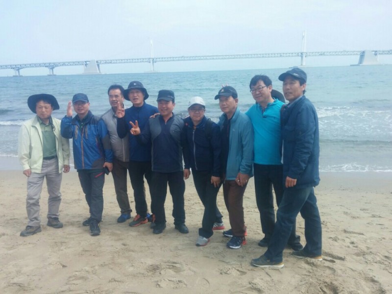황금동교회 / 자유앨범