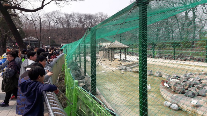 황금동교회 / 자유앨범