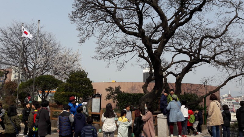 황금동교회 / 자유앨범