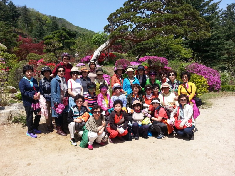 황금동교회 / 자유앨범