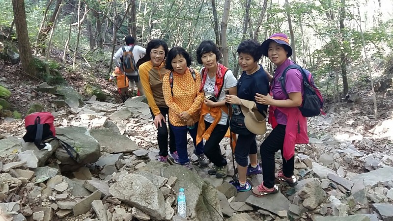 황금동교회 / 자유앨범
