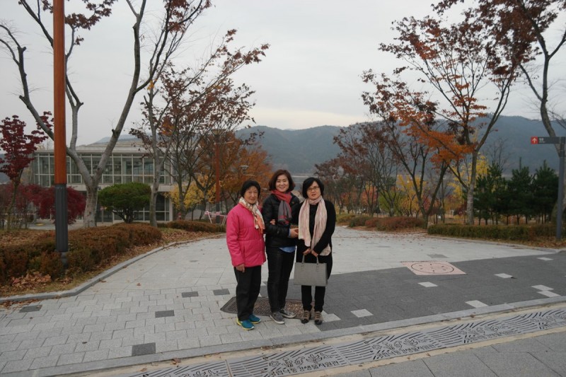 황금동교회 / 자유앨범