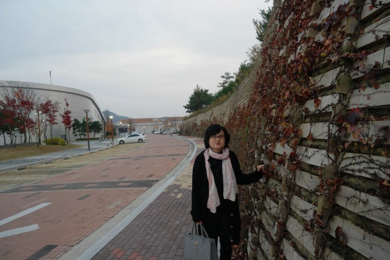 황금동교회 / 자유앨범