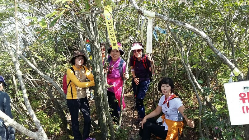 황금동교회 / 자유앨범
