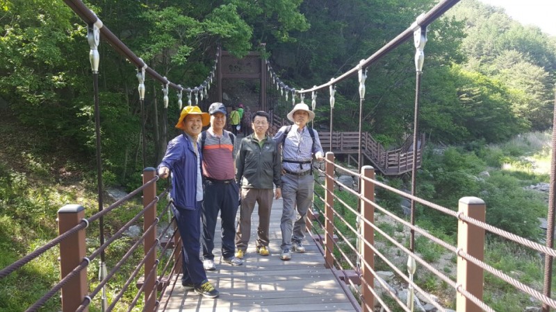 황금동교회 / 자유앨범