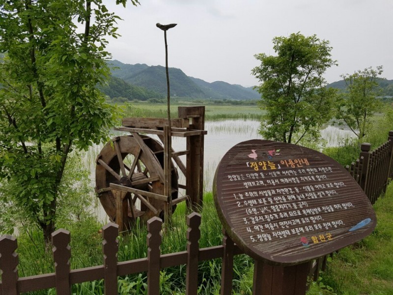 황금동교회 / 자유앨범
