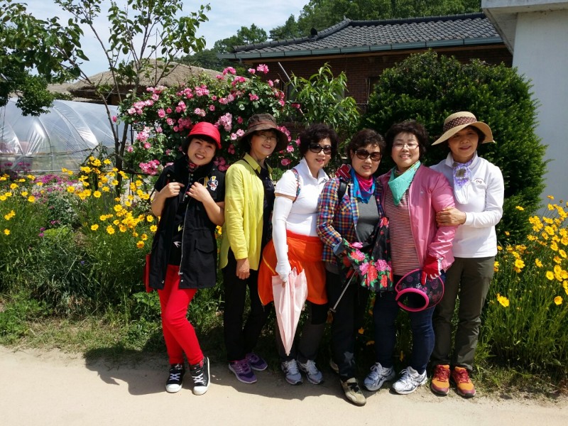 황금동교회 / 자유앨범