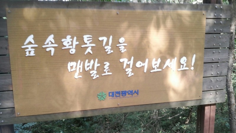 황금동교회 / 자유앨범
