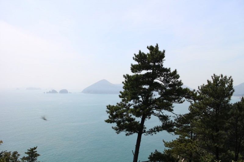 황금동교회 / 자유앨범