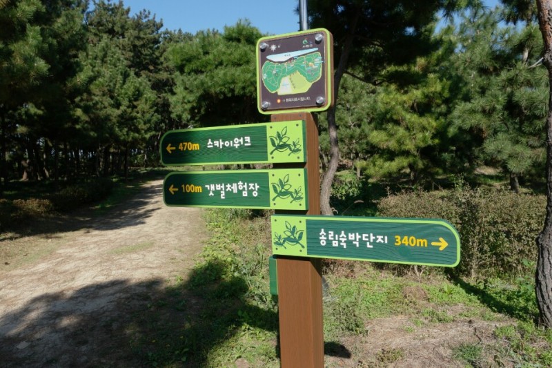 황금동교회 / 자유앨범