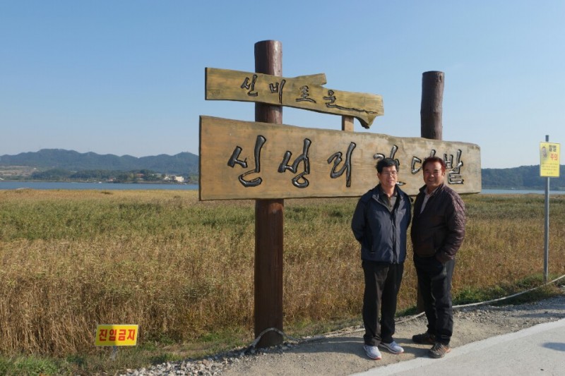 황금동교회 / 자유앨범