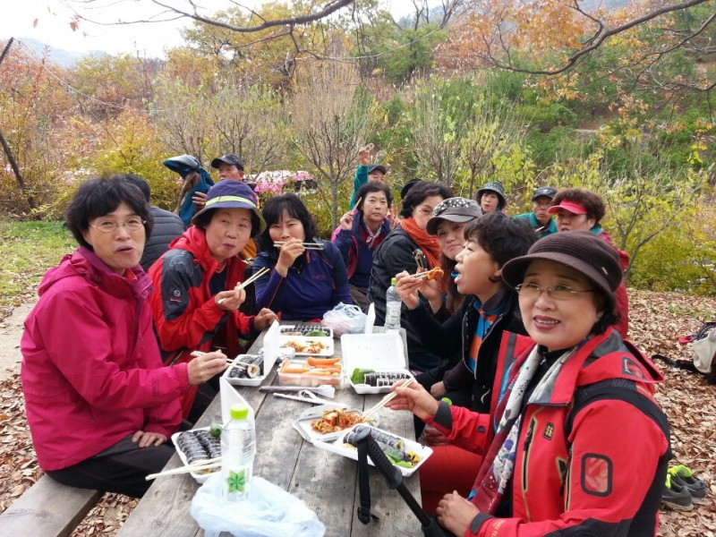 황금동교회 / 자유앨범