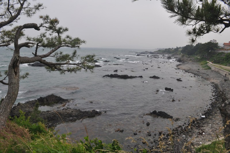 황금동교회 / 자유앨범