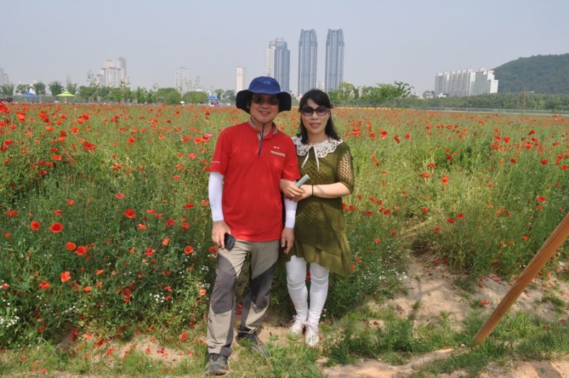 황금동교회 / 자유앨범