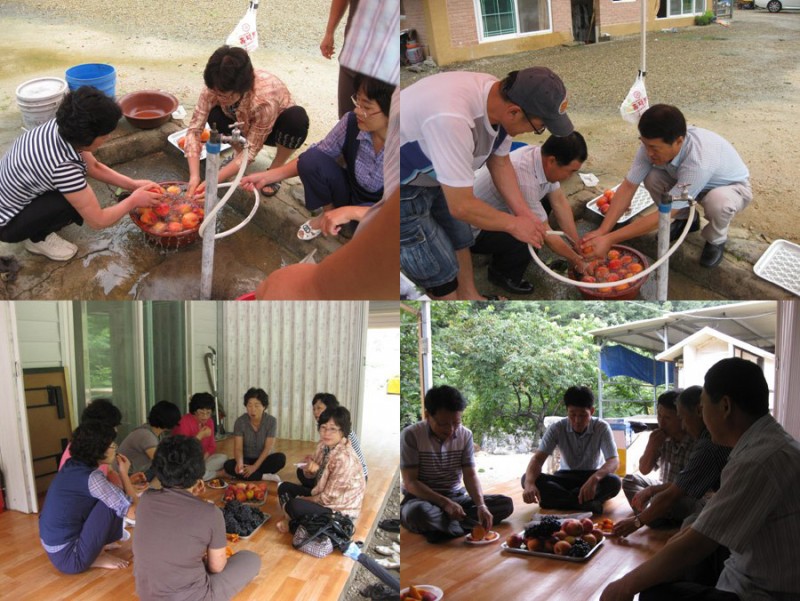 황금동교회 / 자유앨범