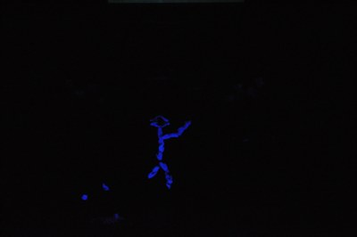 2106166183_108ae710_11122596.jpg